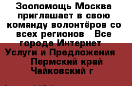 Зоопомощь.Москва приглашает в свою команду волонтёров со всех регионов - Все города Интернет » Услуги и Предложения   . Пермский край,Чайковский г.